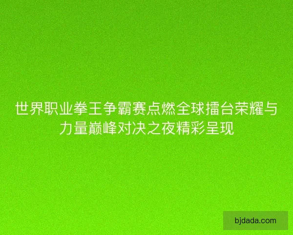 世界职业拳王争霸赛点燃全球擂台荣耀与力量巅峰对决之夜精彩呈现